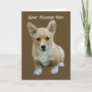 Recherche de corgi vœux cartes Animaux