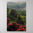 Recherche de sans fin posters Paysage
