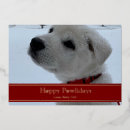 Search for dog and cat christmas cards Simple