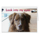 Search for toller Animals