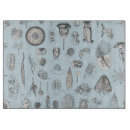 Search for protozoa Zoology