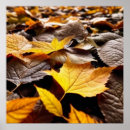 Search for 4 leaf posters Autumn