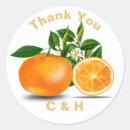 Search for orange blossom stickers Cute