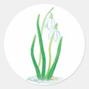 Search for snowdrop stickers Floral