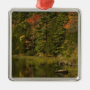 Search for reflected ornaments Tree