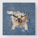 Recherche de extracteur horloges Chien