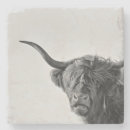 Search for funny cow coasters Scottish