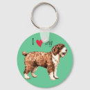 Search for perros accessories Spanish water dog