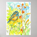 Search for bluebird watercolor posters Wildlife