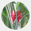 Search for perennials stickers Floral