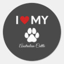 Search for cattle dog stickers Pets