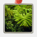 Search for tropical island ornaments Green