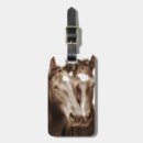 Search for horse luggage tags Western