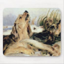 Search for baying mousepads 19th