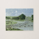 Recherche de indie puzzles L'amérique