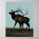 Search for elk silhouettes art Wapiti