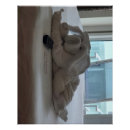 Search for towel posters White