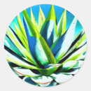 Search for agave stickers Plant