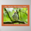Recherche de bird nature posters Birding
