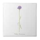 Search for cornflower blue tiles Elegant