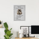 Search for raccoon posters Animal