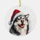 Search for alaskan malamute ornaments Cute