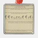 Search for statistics ornaments Chart