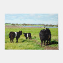 Search for cow doormats Calf
