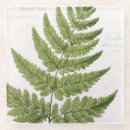 Recherche de 19ème dessous de verres William