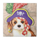 Recherche de cavalier carreaux Chiot