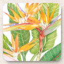 Search for exotic coasters Flowers