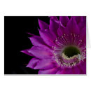 Search for malls cards Floral