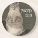 Search for feed barware Animal