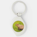 Search for capybara keychains Wildlife