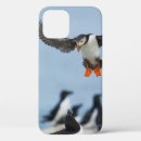 Search for atlantic iphone cases Puffin