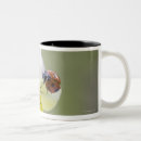 Search for hokkaido mugs Horizontal
