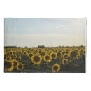 Search for sunflowers pillowcases Nature