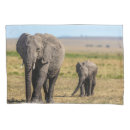 Search for baby elephant pillowcases Animals in the wild