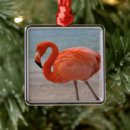 Search for caribbean ornaments Tropical beach