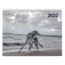 Search for 2022 calendars Dogs