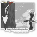 Search for big bird bumper stickers Nature