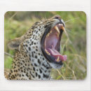Search for african nations mousepads Nature