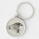 Search for goshawk Bird of prey