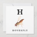 Search for flying insects cards Bees