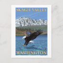 Search for baldness postcards States