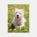 Search for westie blankets Puppy