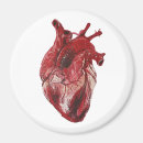 Recherche de coeur humain magnets Organe