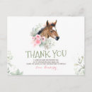 Search for horse ranch cards Foal