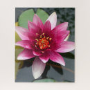 Search for lotus flower puzzles Leaf