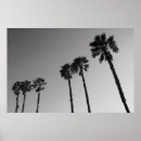 Search for green palm leaf posters Closeup